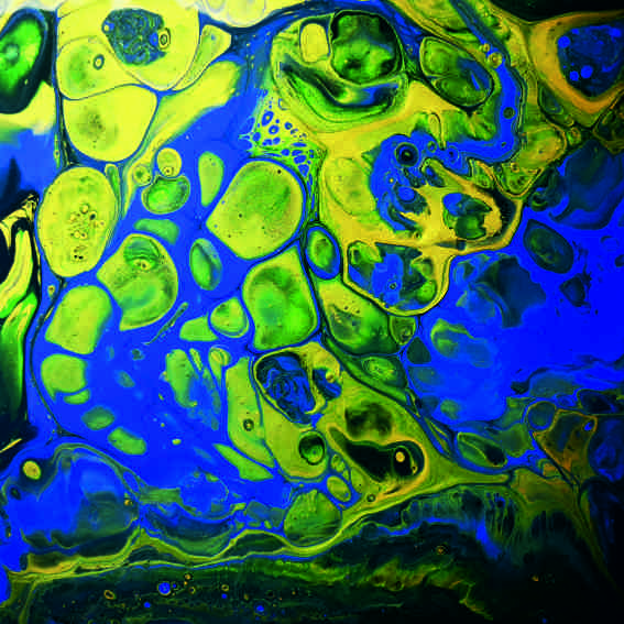 Fluid Art Basic   - március 23 vasárnap 10:00-11:30 – Bild 5